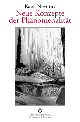 Novotný |  Neue Konzepte der Phänomenalität | Buch |  Sack Fachmedien
