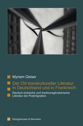 Geiser |  Der Ort transkultureller Literatur in Deutschland und in Frankreich | Buch |  Sack Fachmedien