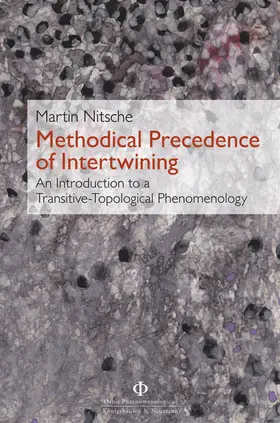 Nitsche |  Methodical Precedence of Intertwining | Buch |  Sack Fachmedien