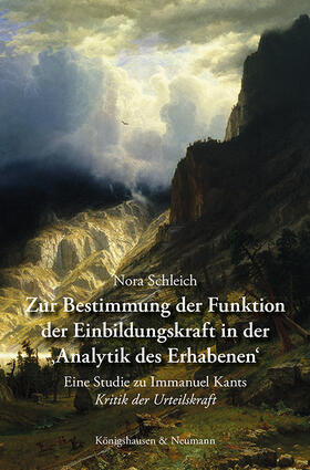 Schleich | Schleich, N: Zur Bestimmung der Funktion der Einbildungskraf | Buch | 978-3-8260-7147-8 | sack.de