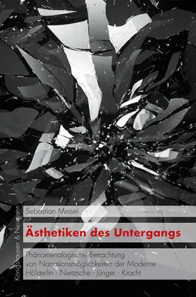 Meisel |  Ästhetiken des Untergangs | Buch |  Sack Fachmedien