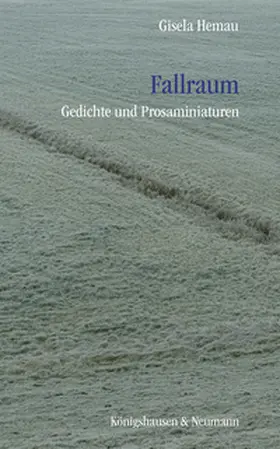 Hemau |  Fallraum | eBook | Sack Fachmedien