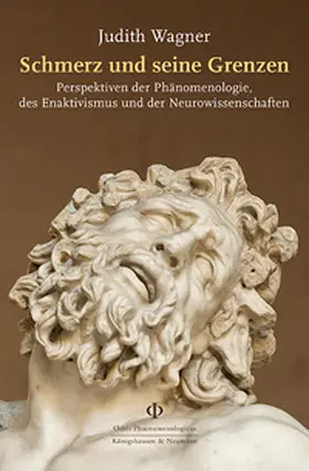 Wagner |  Schmerz und seine Grenzen | Buch |  Sack Fachmedien