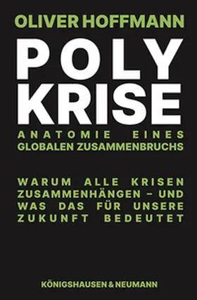 Hoffmann |  Polykrise | Buch |  Sack Fachmedien