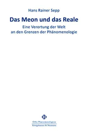 Sepp |  Das Meon und das Reale | Buch |  Sack Fachmedien