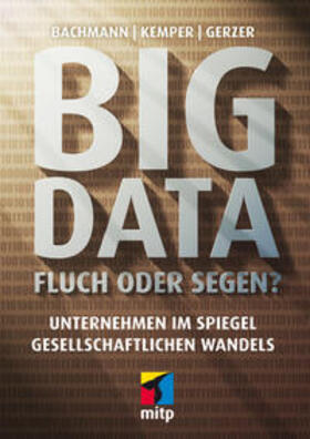 Bachmann / Kemper / Gerzer |  Big Data - Fluch oder Segen? | Buch |  Sack Fachmedien
