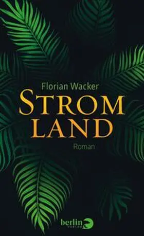 Wacker |  Stromland | Buch |  Sack Fachmedien