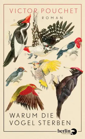Pouchet |  Warum die Vögel sterben | eBook | Sack Fachmedien