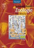 Westheide / Rieger |  Systematik-Poster: Zoologie (Metazoa - Vielzellige Tiere) | Sonstiges |  Sack Fachmedien