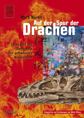 Norell |  Auf der Spur der Drachen | Buch |  Sack Fachmedien