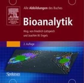 Lottspeich / Engels | Bild-CD-ROM, Bioanalytik | Sonstiges | 978-3-8274-1760-2 | sack.de