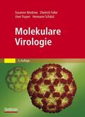 Modrow / Falke / Schätzl |  Molekulare Virologie | Buch |  Sack Fachmedien