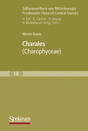 Krause |  Krause, W: Süßwasserflora von Mitteleuropa, Bd. 18: Charales | Buch |  Sack Fachmedien