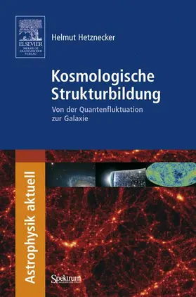 Hetznecker |  Kosmologische Strukturbildung | Buch |  Sack Fachmedien