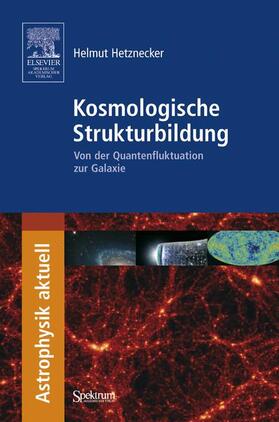 Hetznecker | Hetznecker, H: Kosmologische Strukturbildung | Buch | 978-3-8274-1935-4 | sack.de