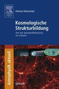 Hetznecker |  Hetznecker, H: Kosmologische Strukturbildung | Buch |  Sack Fachmedien