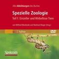 Westheide / Rieger |  Spezielle Zoologie 1 | Sonstiges |  Sack Fachmedien