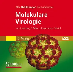Modrow / Falke | Molekulare Virologie | Sonstiges | 978-3-8274-2074-9 | sack.de