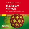 Modrow / Falke |  Molekulare Virologie | Sonstiges |  Sack Fachmedien