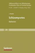 Häusler |  Häusler, J: Süßwasserflora von Mitteleuropa, Bd. 20: Schizom | Buch |  Sack Fachmedien