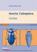 Klausnitzer |  Insecta: Coleoptera: Scirtidae | eBook | Sack Fachmedien