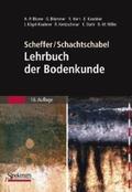 Blume / Scheffer / Brümmer |  Scheffer/Schachtschabel: Lehrbuch der Bodenkunde | eBook | Sack Fachmedien