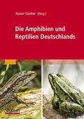 Günther |  Die Amphibien und Reptilien Deutschlands | Buch |  Sack Fachmedien