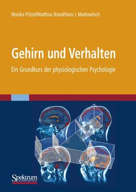 Pritzel / Markowitsch / Brand | Gehirn und Verhalten | Buch | 978-3-8274-2339-9 | sack.de