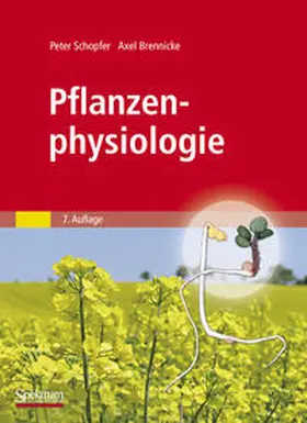 Schopfer / Brennicke |  Pflanzenphysiologie | eBook | Sack Fachmedien