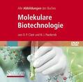 Clark / Pazdernik |  Bild-DVD, Molekulare Biotechnologie, Die Abbildungen des Buches | Sonstiges |  Sack Fachmedien
