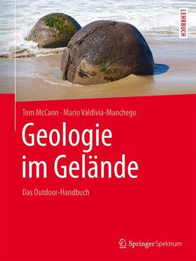 McCann / Valdivia Manchego | Geologie im Gelände | Buch | 978-3-8274-2382-5 | sack.de
