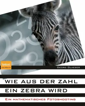 Glaeser |  Wie aus der Zahl ein Zebra wird | eBook | Sack Fachmedien