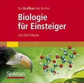 Fritsche |  Alle Grafiken des Buches "Biologie für Einsteiger" | Sonstiges |  Sack Fachmedien