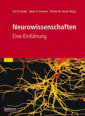 Kandel / Schwartz / Jessell | Neurowissenschaften | Buch | 978-3-8274-2905-6 | sack.de