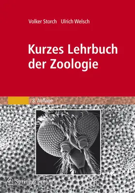 Welsch / Storch |  Kurzes Lehrbuch der Zoologie | Buch |  Sack Fachmedien