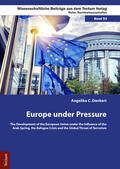 Dankert |  Dankert, A: Europe under Pressure | Buch |  Sack Fachmedien