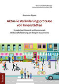 Bippes |  Aktuelle Veränderungsprozesse von Innenstädten | Buch |  Sack Fachmedien