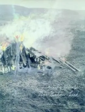 Kiefer / Bastian |  Das Balder-Lied | Buch |  Sack Fachmedien