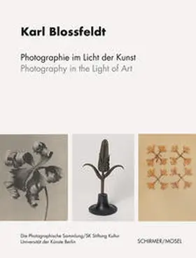  Photographie im Licht der Kunst / Photography in the Light of Art | Buch |  Sack Fachmedien