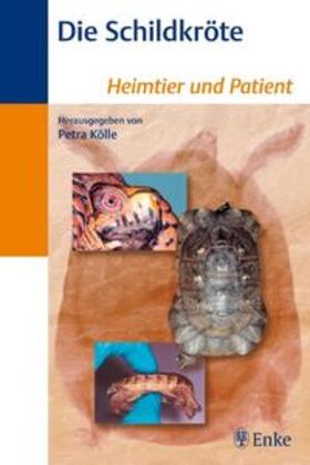Kölle | Schildkröte | Buch | sack.de