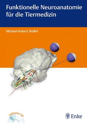 Stoffel | Funktionelle Neuroanatomie für die Tiermedizin, m. DVD | Buch | 978-3-8304-1131-4 | sack.de