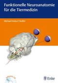Stoffel |  Funktionelle Neuroanatomie für die Tiermedizin, m. DVD | Buch |  Sack Fachmedien