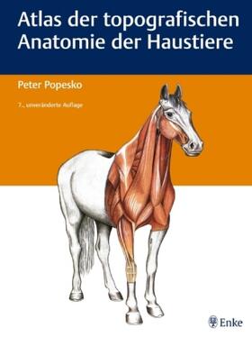 Popesko | Popesko, P: Atlas der topographischen Anatomie der Haustiere | Buch | 978-3-8304-1139-0 | sack.de