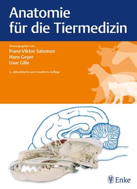 Salomon / Geyer / Gille | Anatomie für die Tiermedizin | Buch | 978-3-8304-1288-5 | sack.de
