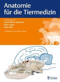 Geyer / Salomon / Gille |  Anatomie für die Tiermedizin | eBook | Sack Fachmedien