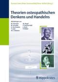 Liem / Sommerfeld / Levin |  Theorien osteopathischen Denkens und Handelns | Buch |  Sack Fachmedien