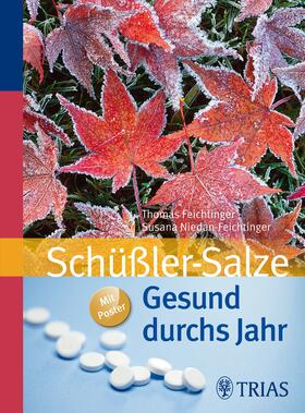 Feichtinger / Niedan-Feichtinger | Gesund durchs Jahr mit Schüßler-Salzen | E-Book | sack.de