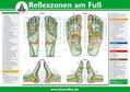 Marquardt |  Reflexzonen der Füße (Tafel A2) | Sonstiges |  Sack Fachmedien