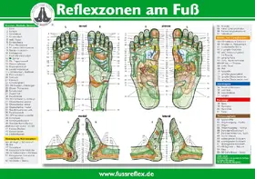 Marquardt |  Reflexzonen am Fuß (2 Tafeln A4) | Sonstiges |  Sack Fachmedien