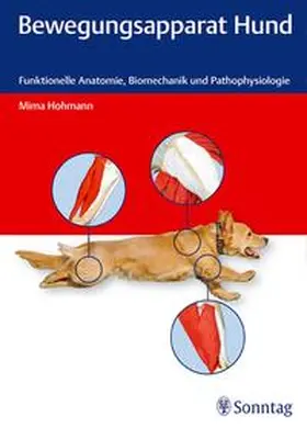 Hohmann |  Bewegungsapparat Hund | Buch |  Sack Fachmedien